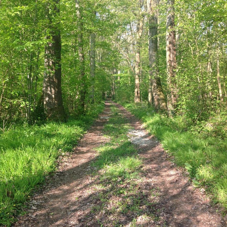 Le Rucher Bois-Normand-près-Lyre Zewnętrze zdjęcie